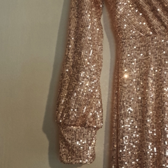 XUCTHHC Gold Sequin lined gown with Slit Long Sleeves to Cuff NWT Size M - Picture 3 of 11